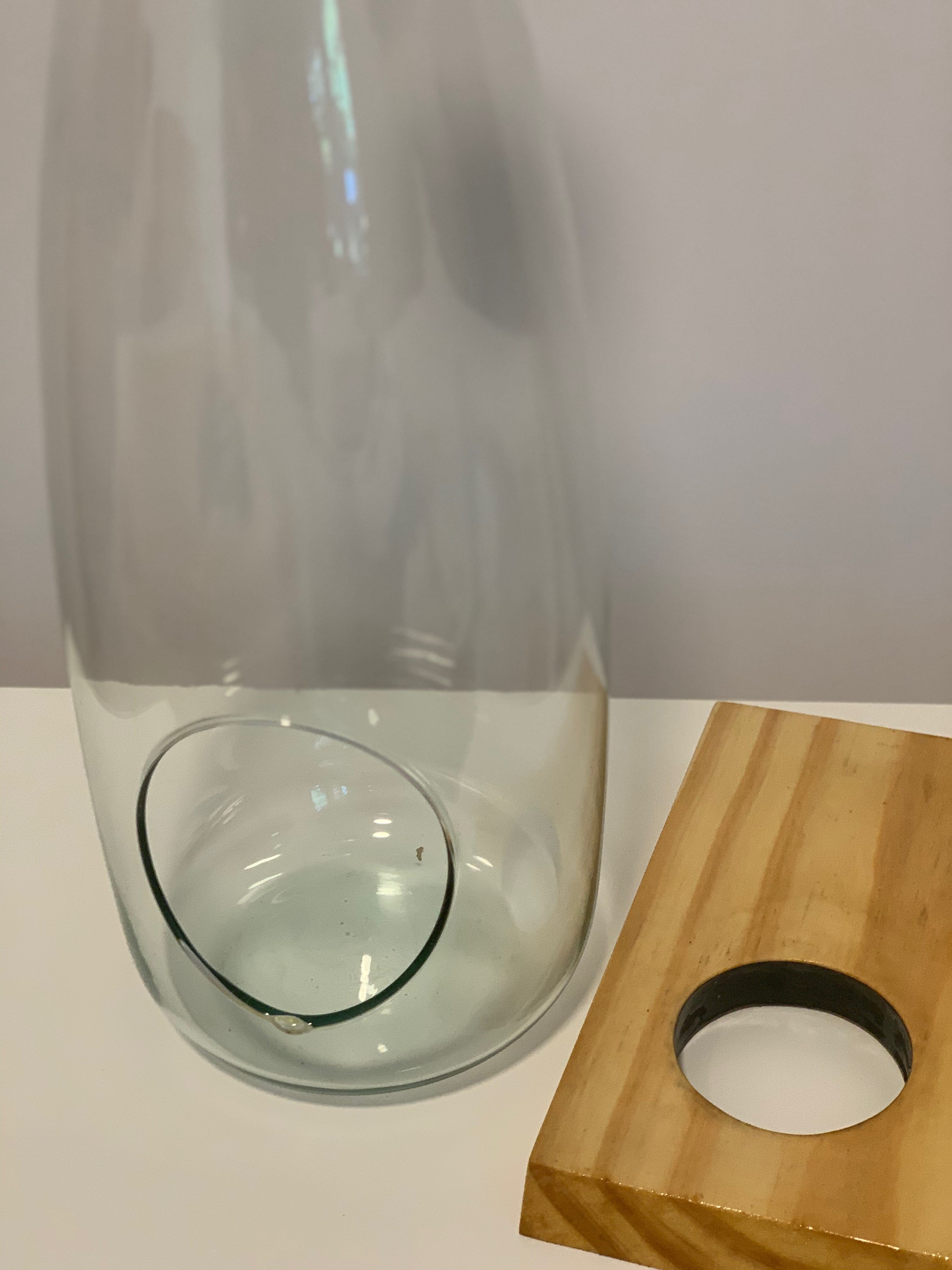 Glass Bottle Water Propagator with Wood Plank